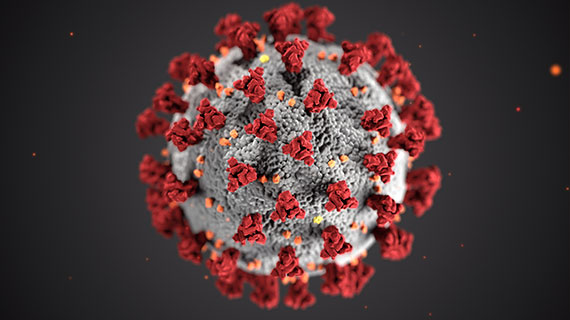 Abbildung: Corona-Virus.